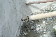 image0194