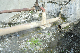 image0195