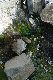 image0196