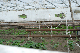 image0212
