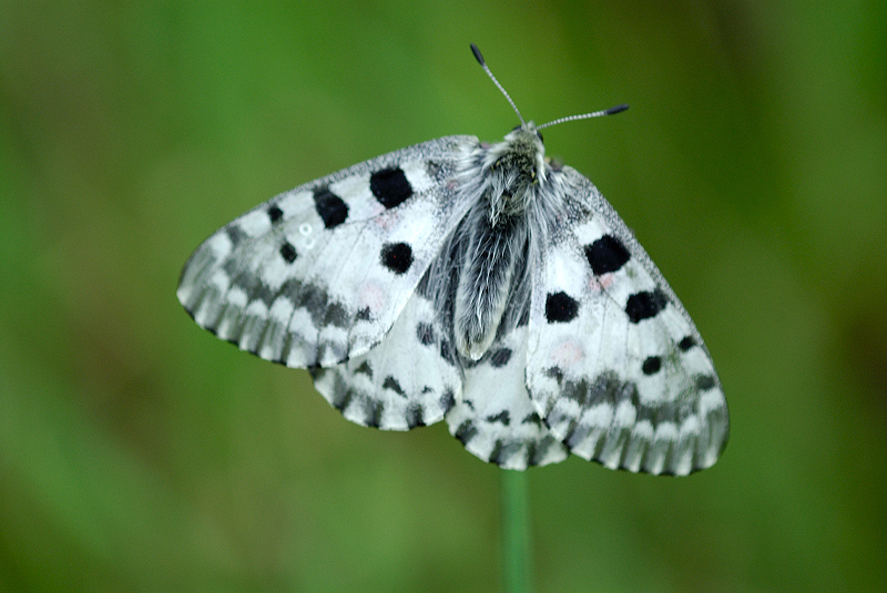 image0102