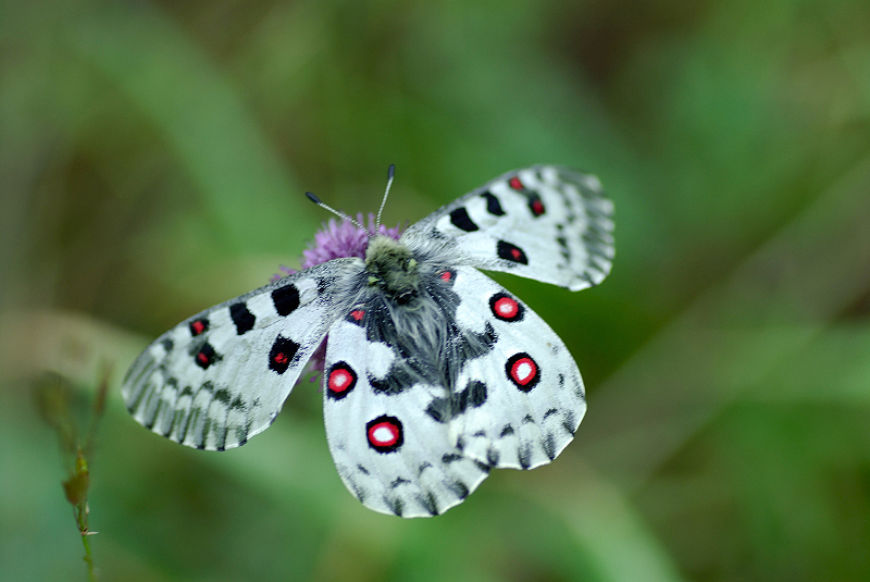 image0103