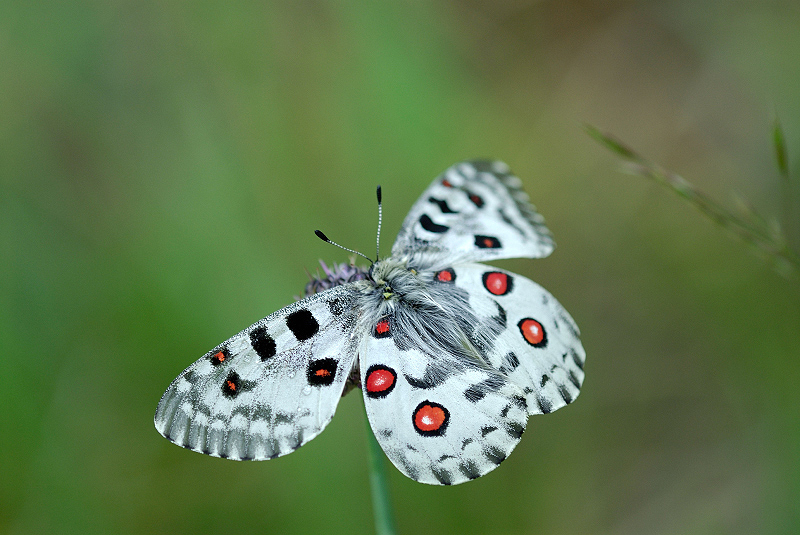 image0113