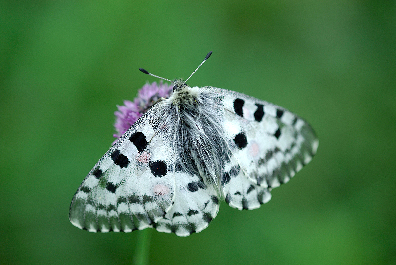 image0115