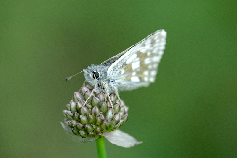 image0119
