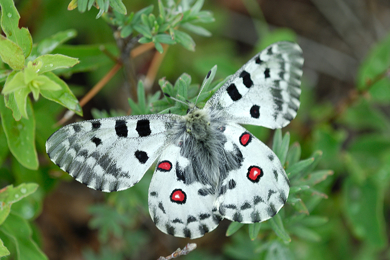 image0123