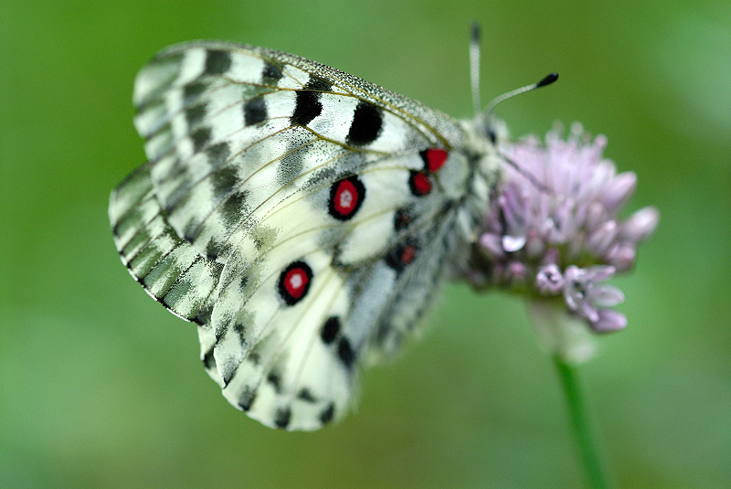 image0128