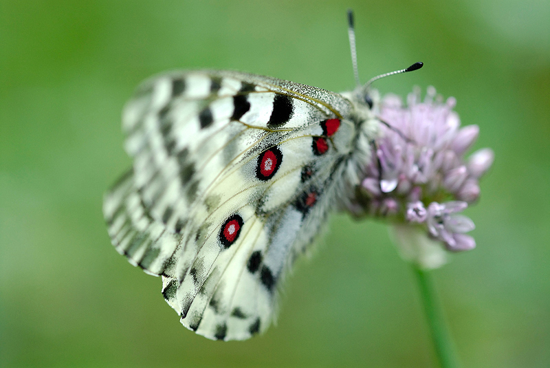 image0129