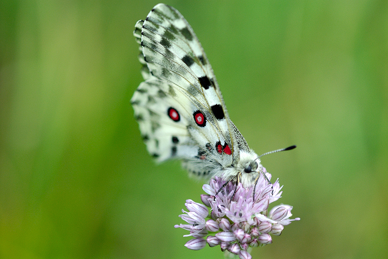 image0130