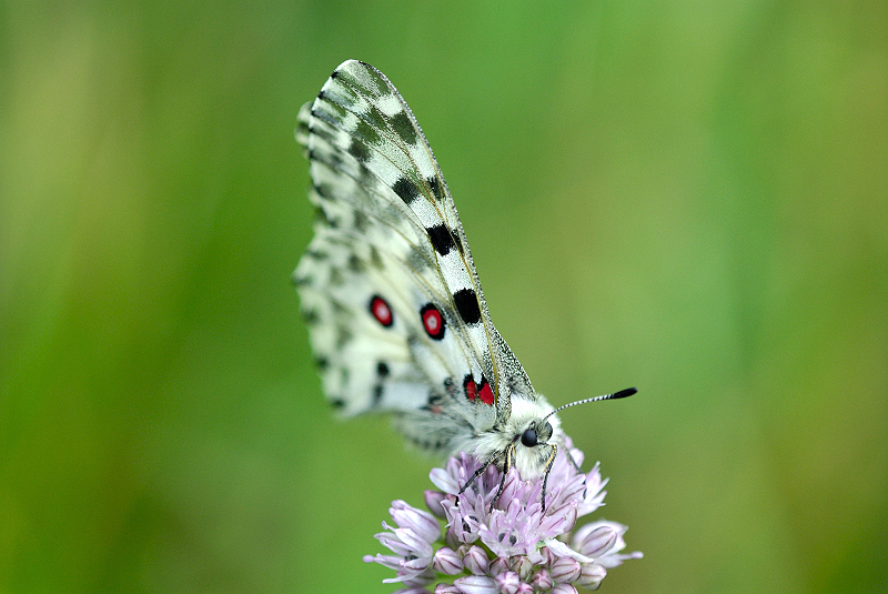 image0131