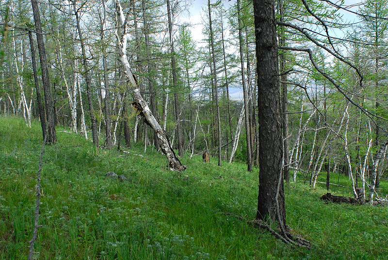 image0135
