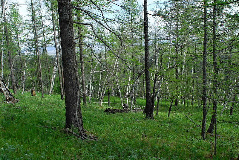 image0136