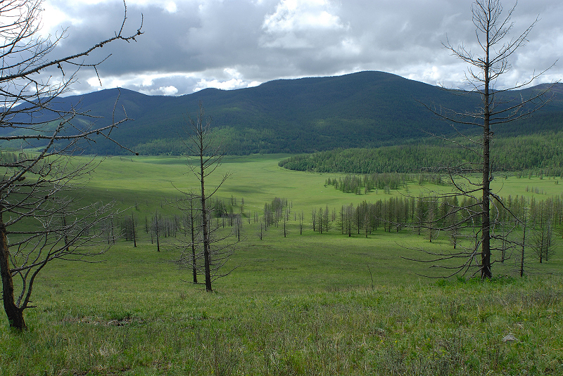 image0137