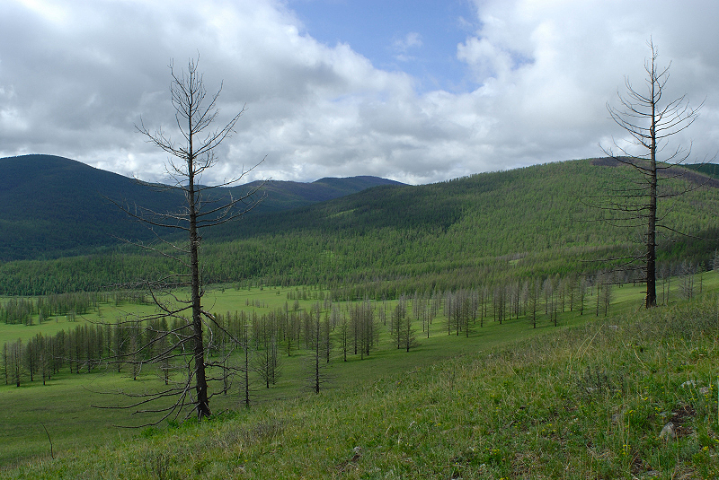 image0138