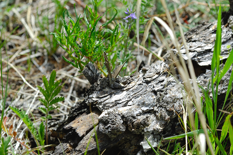image0139