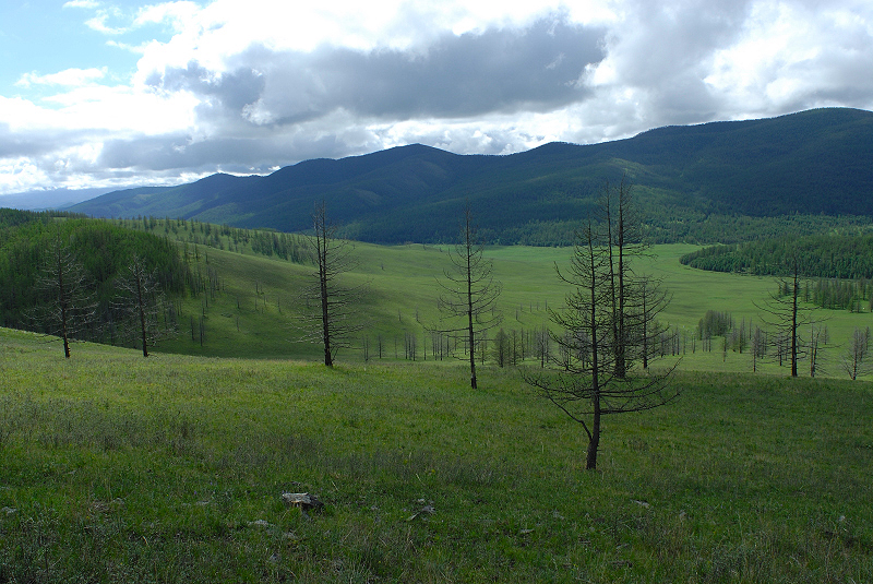 image0141