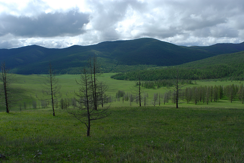 image0142
