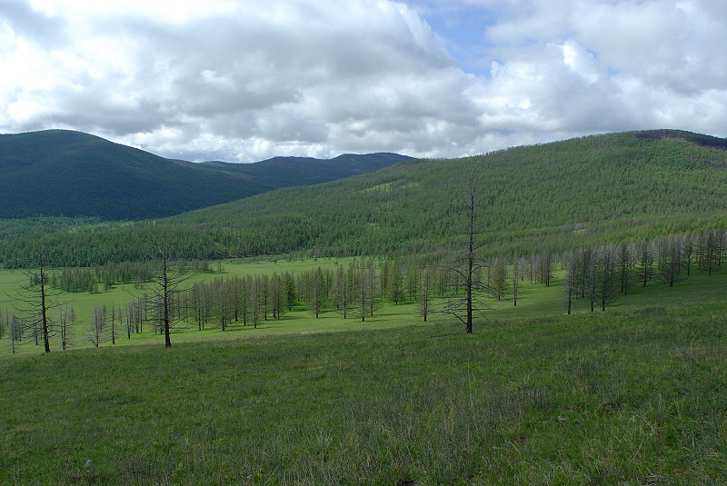 image0143