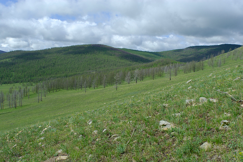 image0144