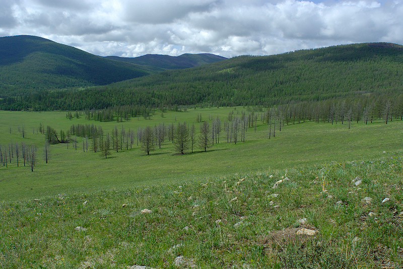 image0145