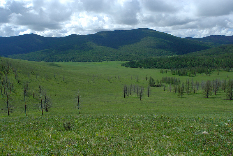 image0146