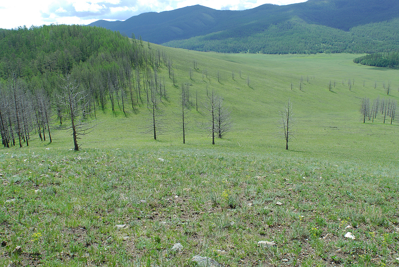 image0148