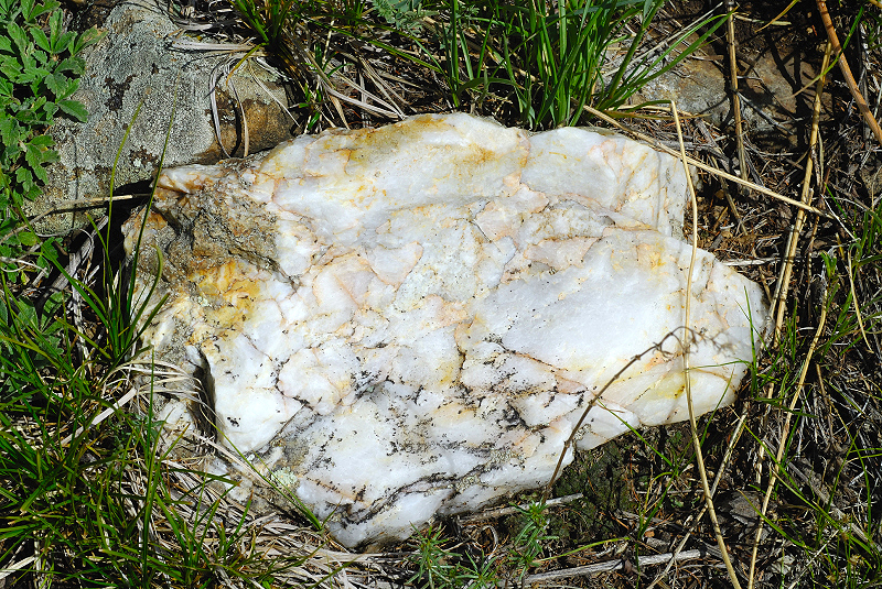 image0149