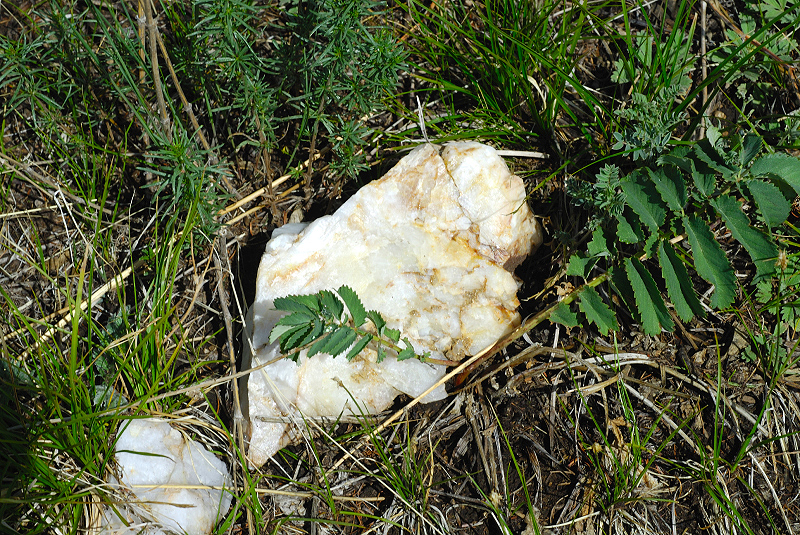 image0150