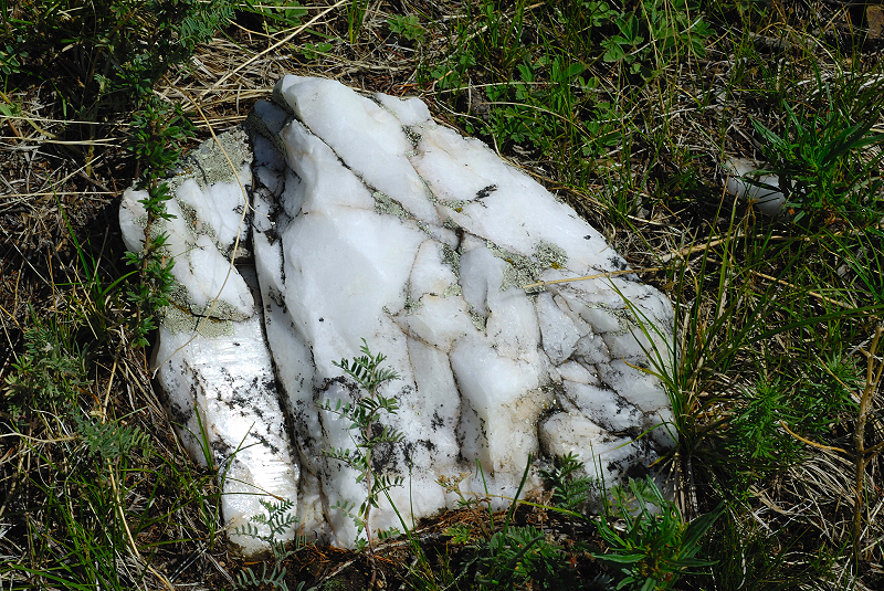 image0151
