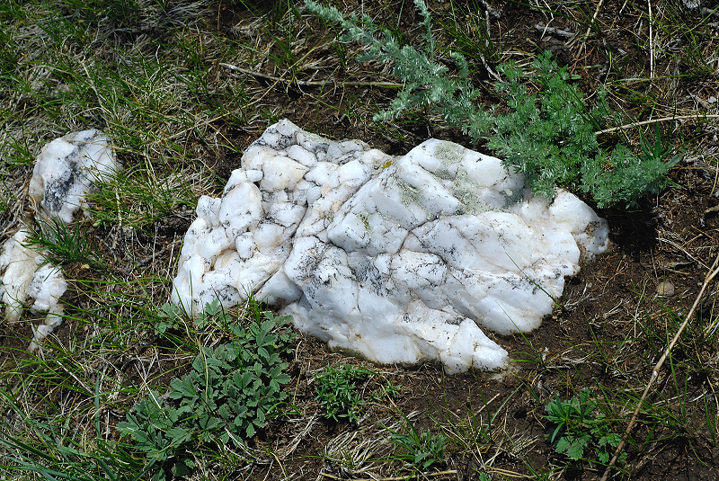 image0153