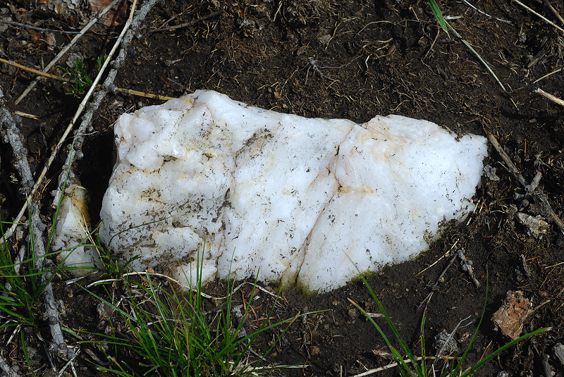image0154