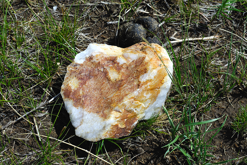 image0156