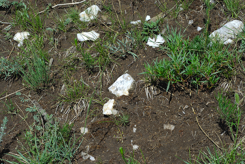 image0159