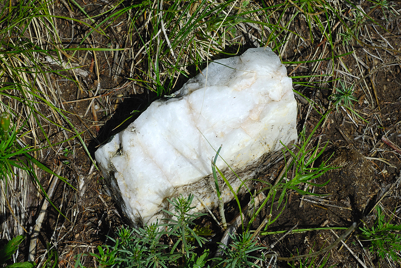image0160