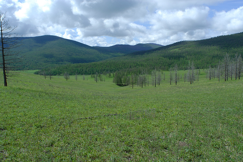 image0163