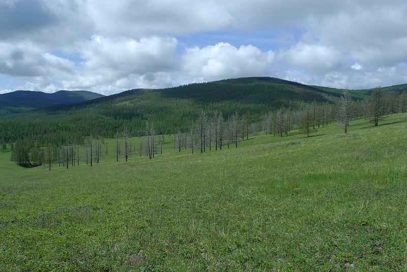 image0164