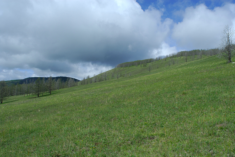 image0165