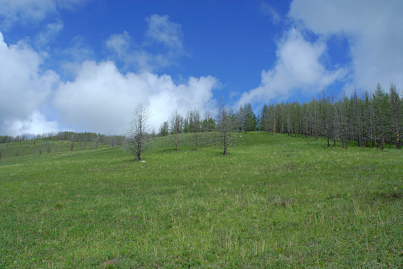 image0166
