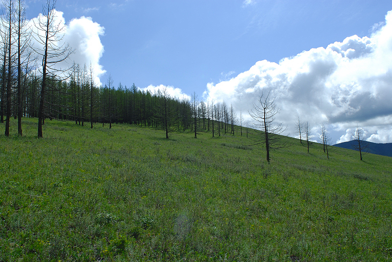 image0167