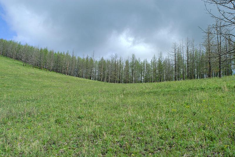 image0169