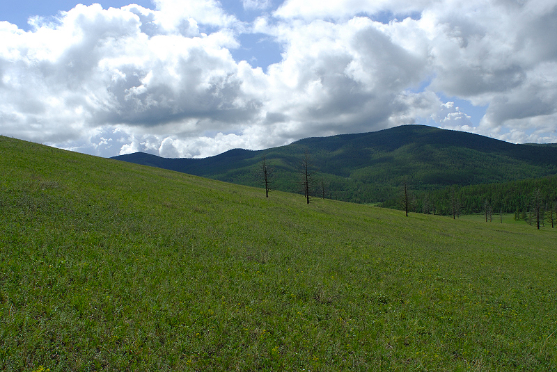 image0170
