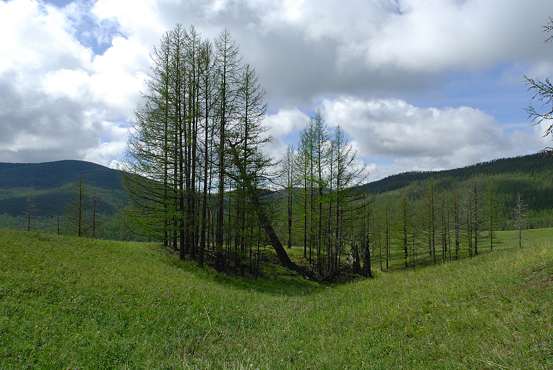 image0171