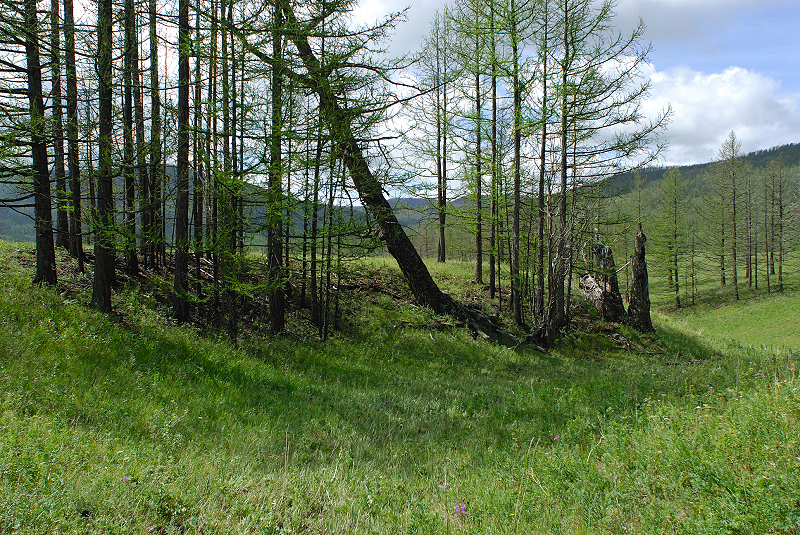 image0172