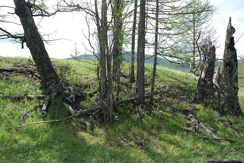 image0173