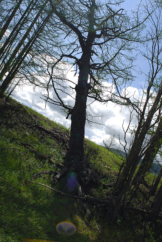 image0174