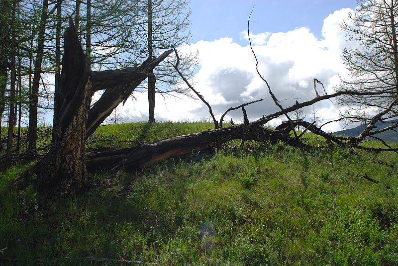 image0175