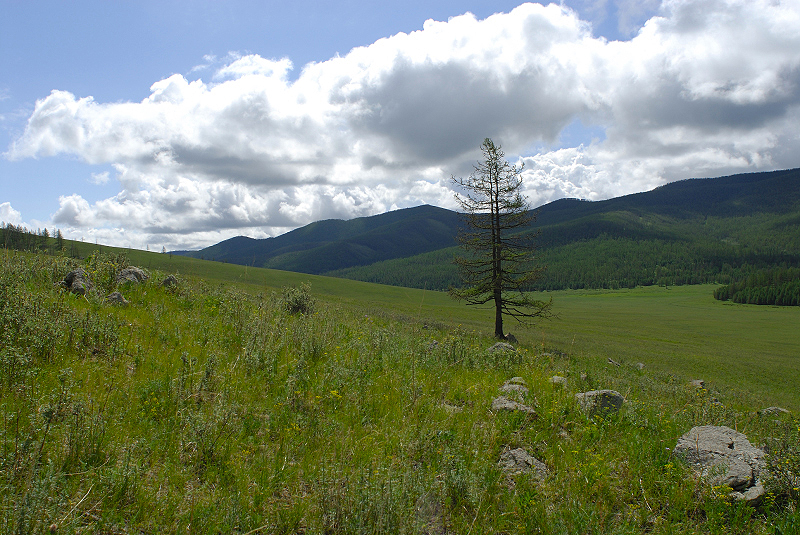 image0176