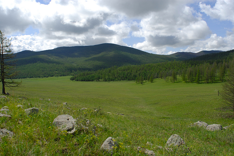 image0177