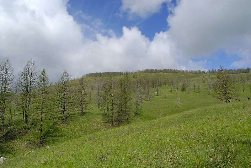 image0178