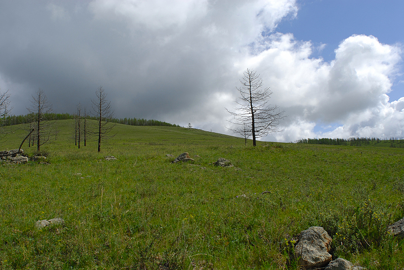 image0179